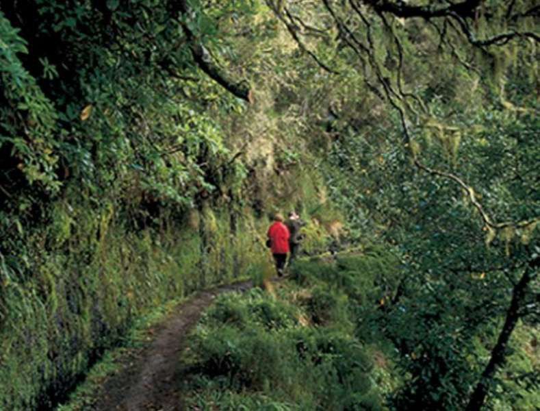 Dorisol Pousada Dos Vinhaticos Serra de Água Kültér fotó